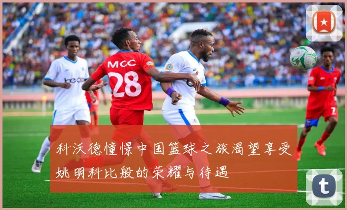 科沃德憧憬中国篮球之旅渴望享受姚明科比般的荣耀与待遇